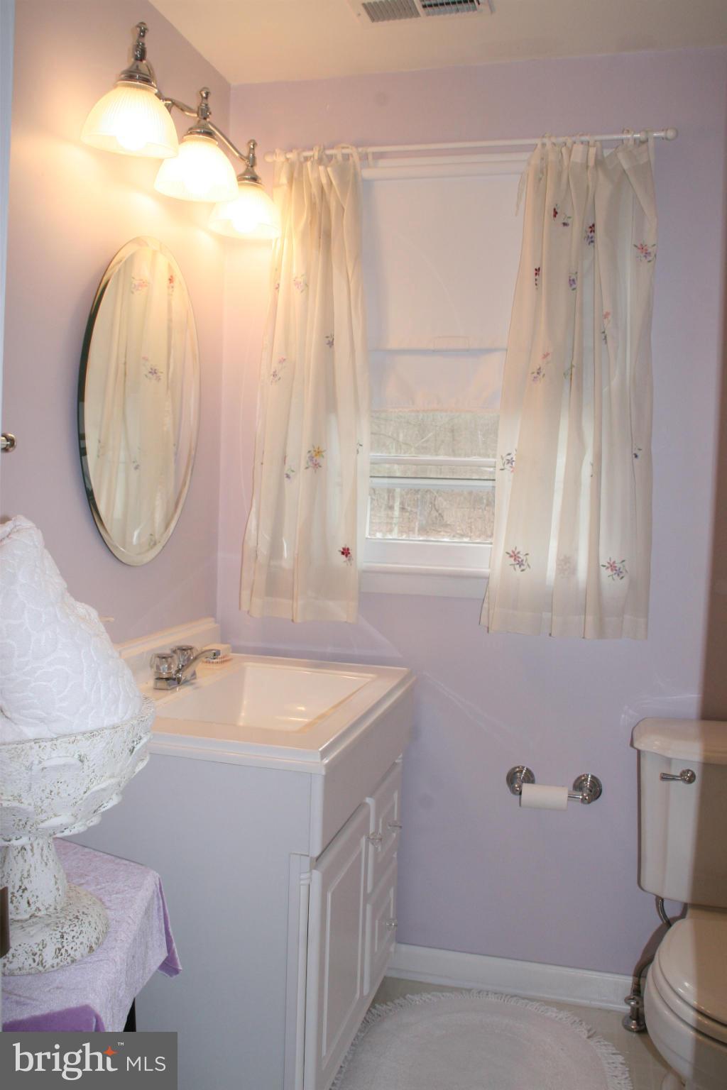 6606 Howellsville Road Front Royal, VA 22630 - Photo 16 of 30 a bathroom with a sink vanity mirror and toilet