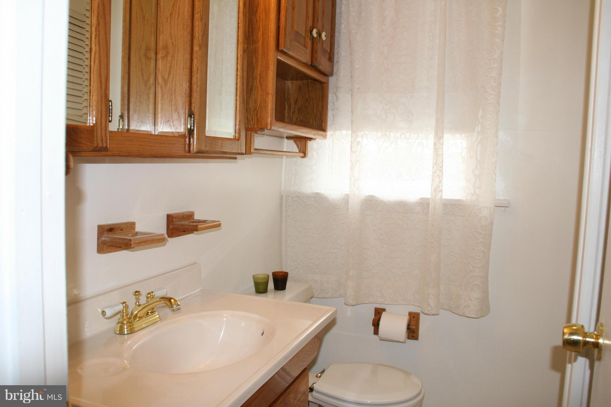 6606 Howellsville Road Front Royal, VA 22630 - Photo 22 of 30 a bathroom with a sink and a mirror