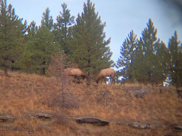 659 Deadmans Canyon Road Reed Point, MT 59069 - Photo 25 of 96 Gallery Image 25