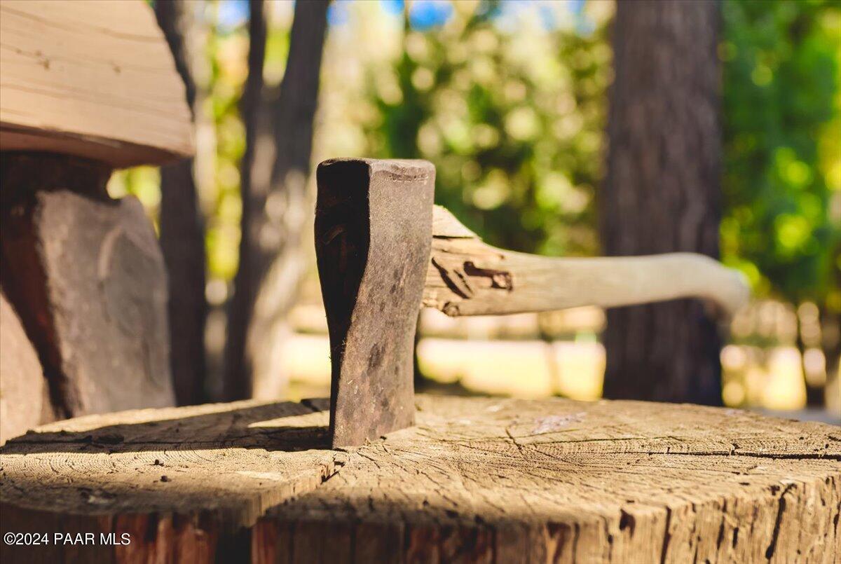 1804 Pyle Ranch Road Payson, AZ 85541 - Photo 16 of 113 016-La_Cienega_Ranch_017