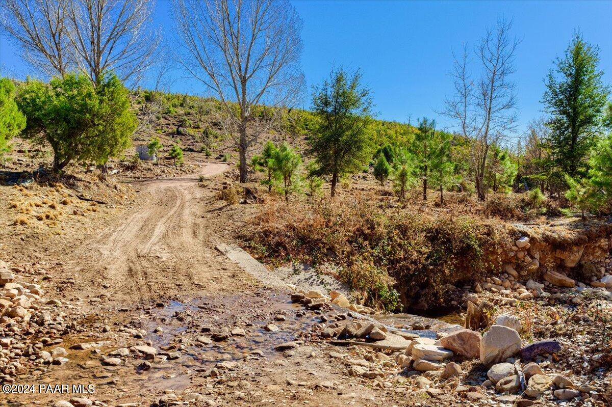 1804 Pyle Ranch Road Payson, AZ 85541 - Photo 6 of 113 a view of a yard with plants and large trees