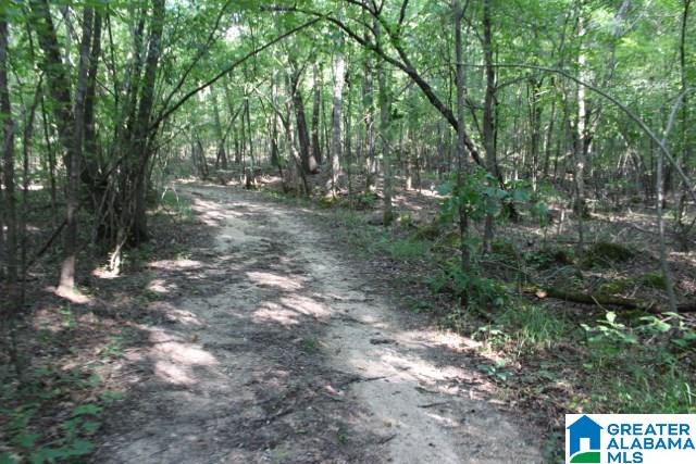 1 Benefield Gap Road Attalla, AL 35954 - Photo 13 of 50