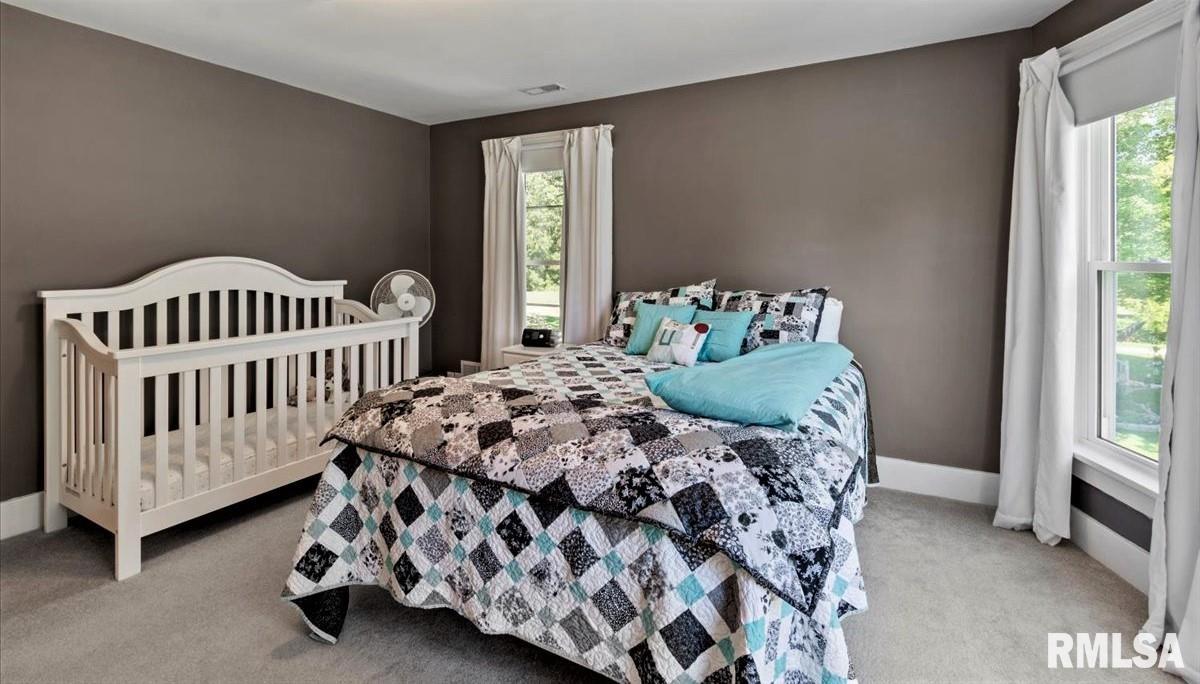 317 West Main Street Rochester, IL 62563 - Photo 23 of 38 Gallery Image 23