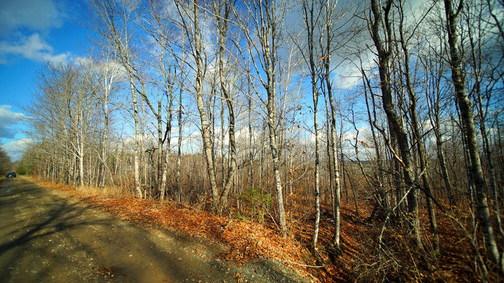 Lot 4.1 Lawlor Ridge Road Benedicta, ME 04733 - Photo 26 of 48 benedicta-me-land-8