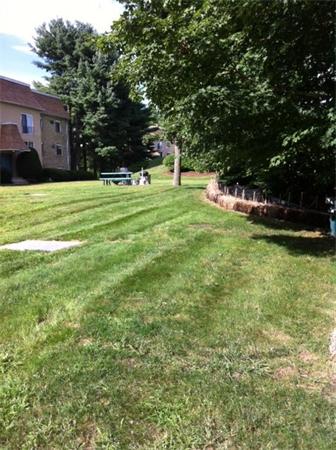 176 Swanson Road, Unit 312 Boxborough, MA 01719 - Photo 3 of 17 a view of a park with large trees