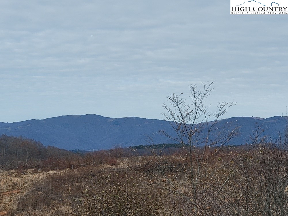 Golf Course Road, Unit 1A Sparta, NC 28675 - Photo 6 of 8 a view of a backyard