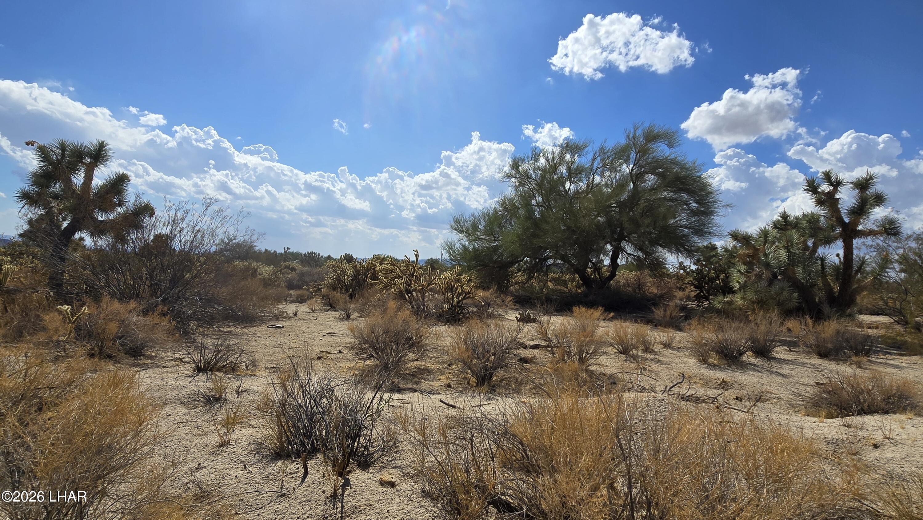 11844 Nolan Road Yucca, AZ 86438 - Photo 31 of 32 20260831_153318