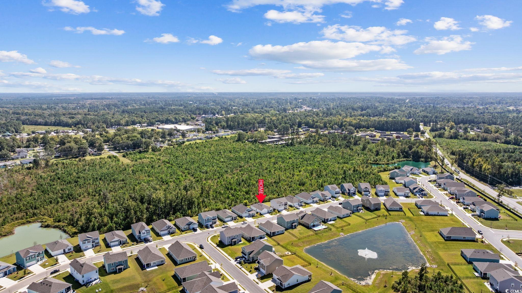 1040 Black Lk Way Conway, SC 29526 - Photo 34 of 38