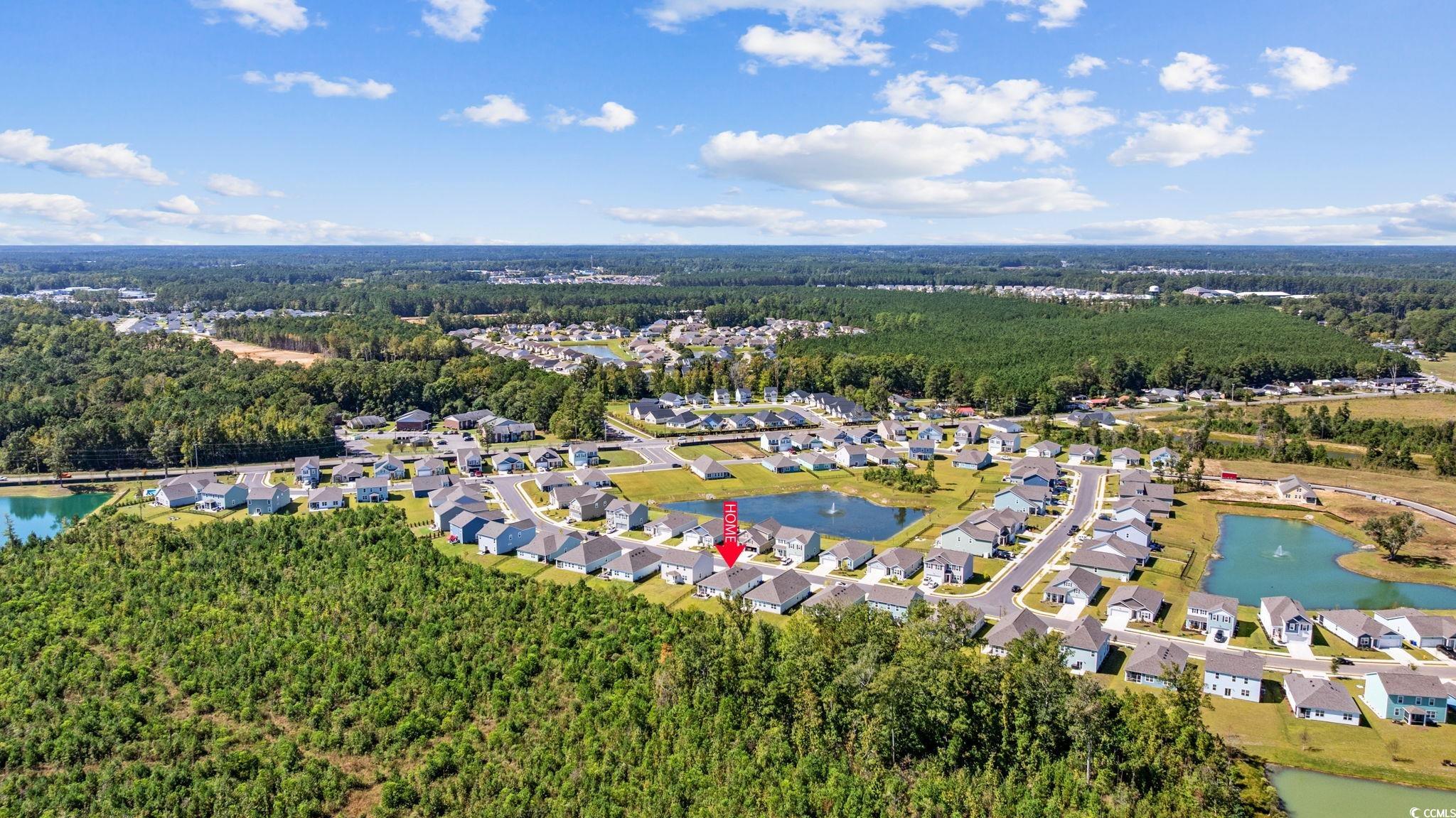 1040 Black Lk Way Conway, SC 29526 - Photo 35 of 38