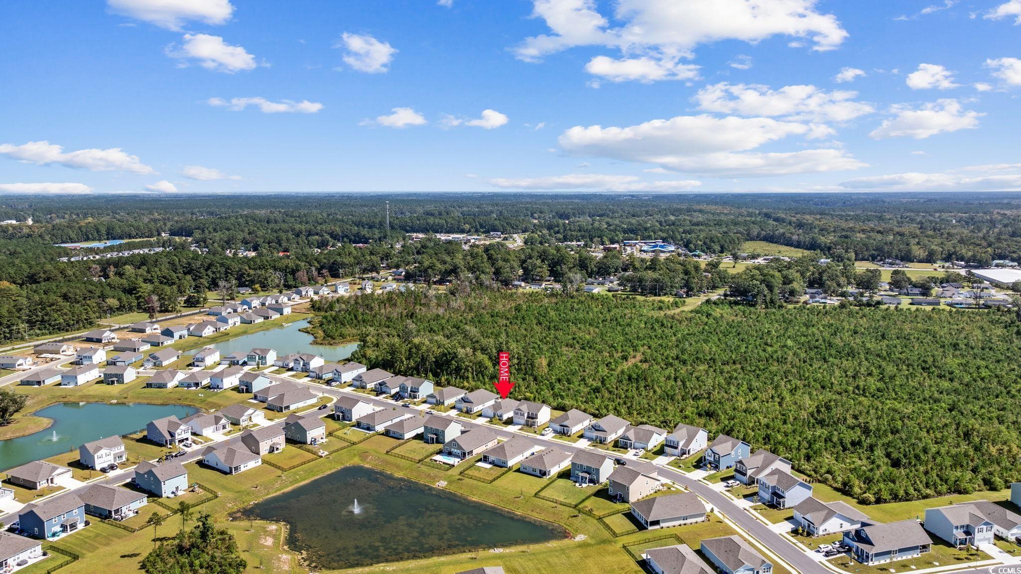 1040 Black Lk Way Conway, SC 29526 - Photo 5 of 38