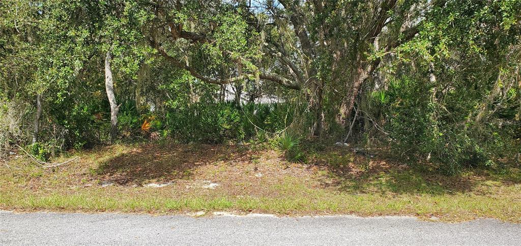1227 Alafia Way Kissimmee, FL 34759 - Photo 1 of 5 a view of a yard with plants and trees