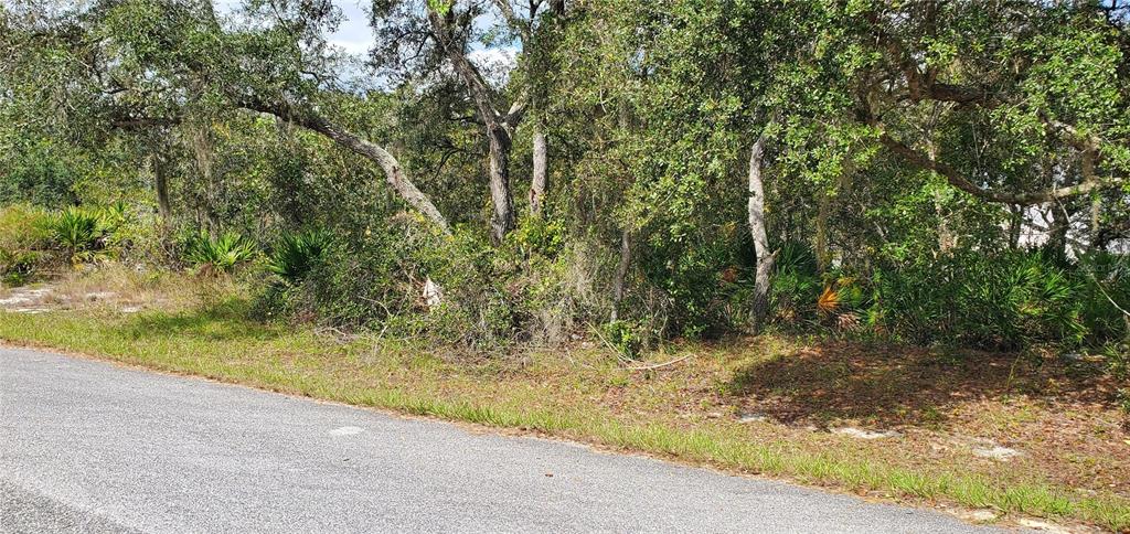 1227 Alafia Way Kissimmee, FL 34759 - Photo 3 of 5 a view of a yard with a tree