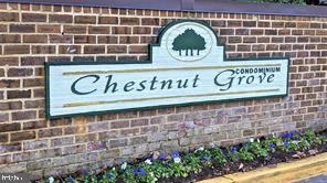 11232 Chestnut Grove Square, Unit 135 Reston, VA 20190 - Photo 3 of 9