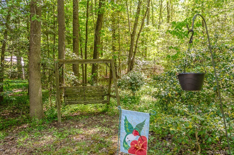 8724 Cardiff Road Chesterfield, VA 23236 - Photo 42 of 46 Gallery Image 42