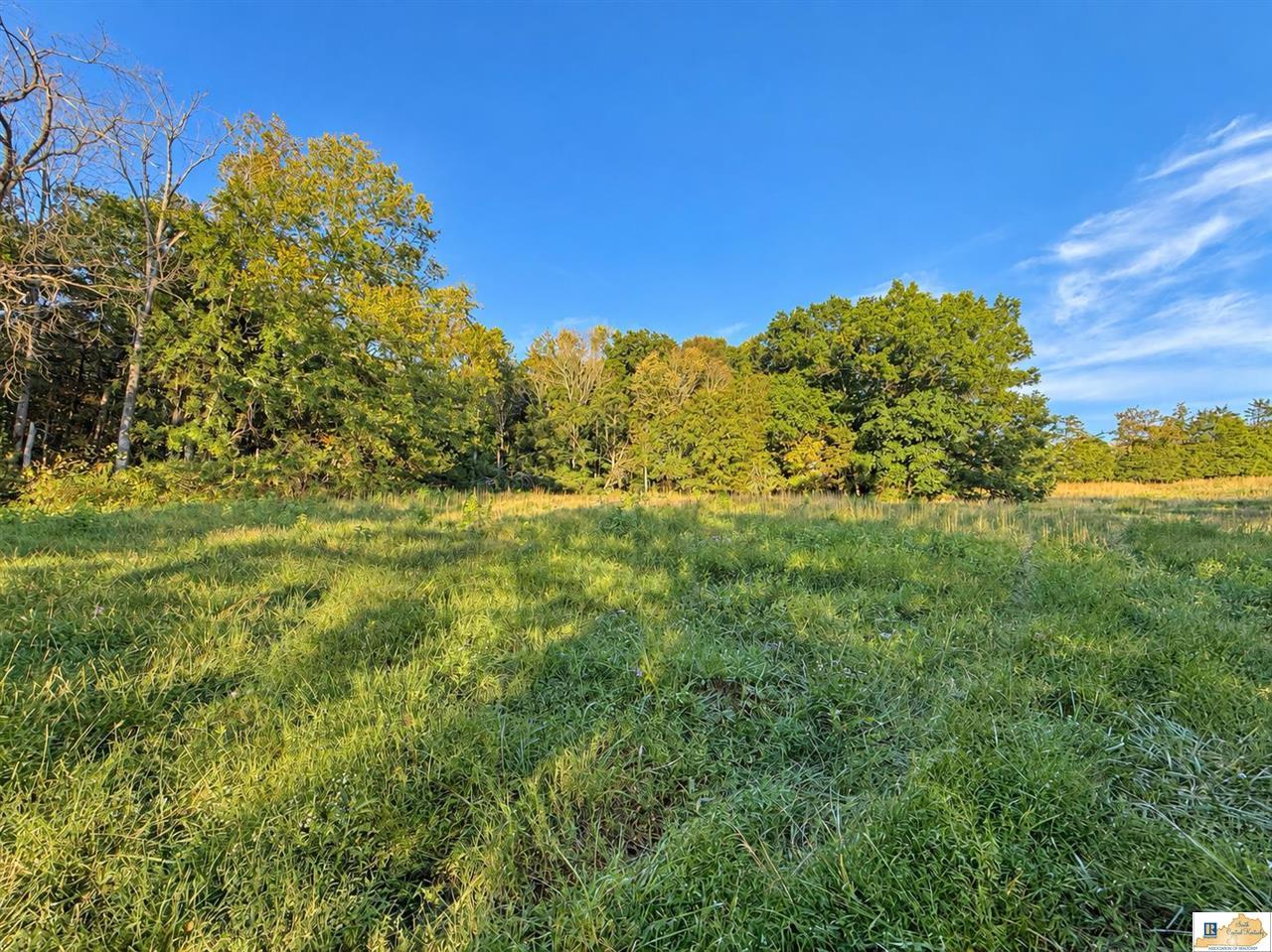 0 Stanley Syra Road Edmonton, KY 42129 - Photo 18 of 28 Gallery Image 18