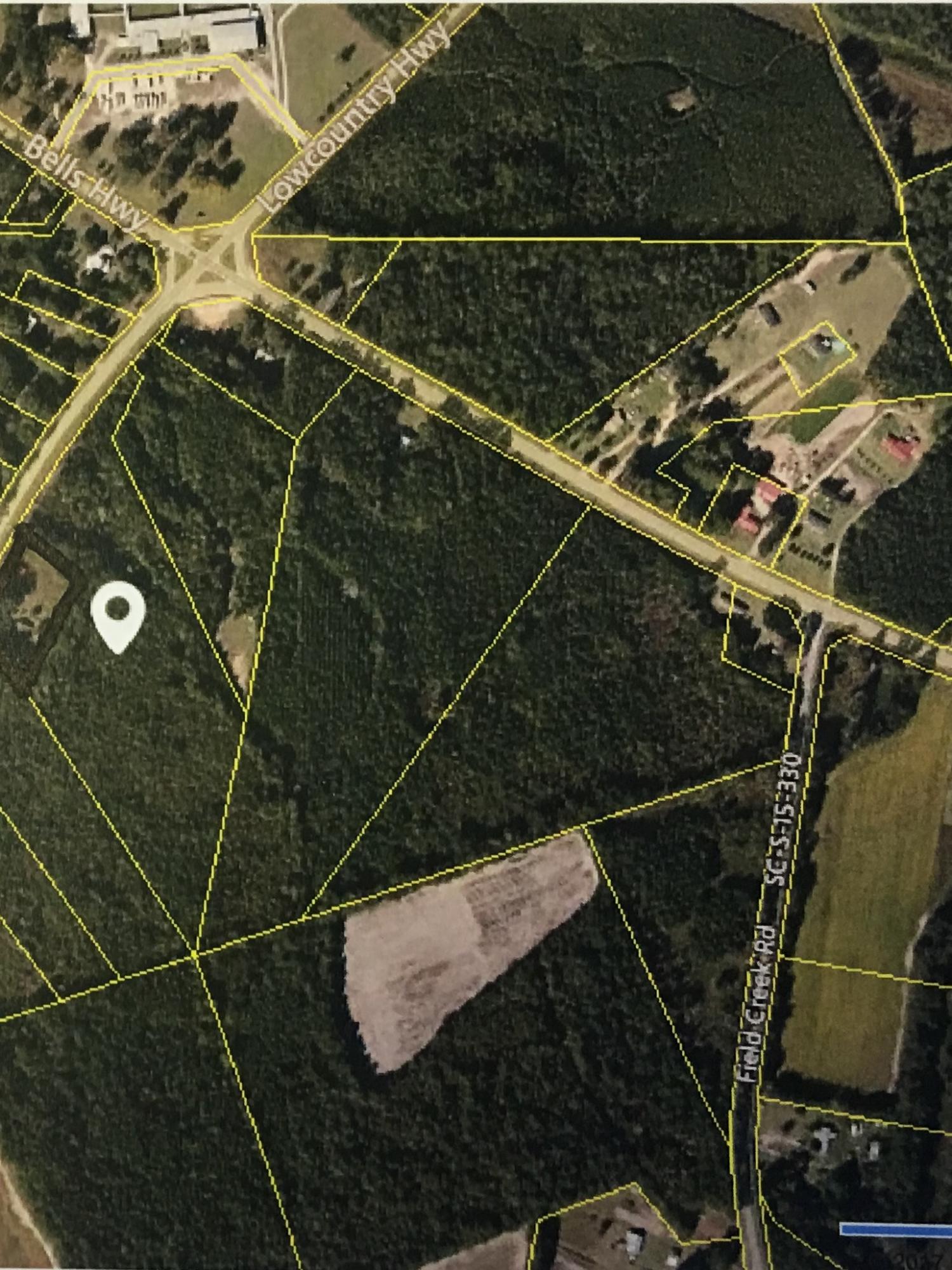 18810 Low Country Highway Ruffin, SC 29475 - Photo 1 of 1 low co pic