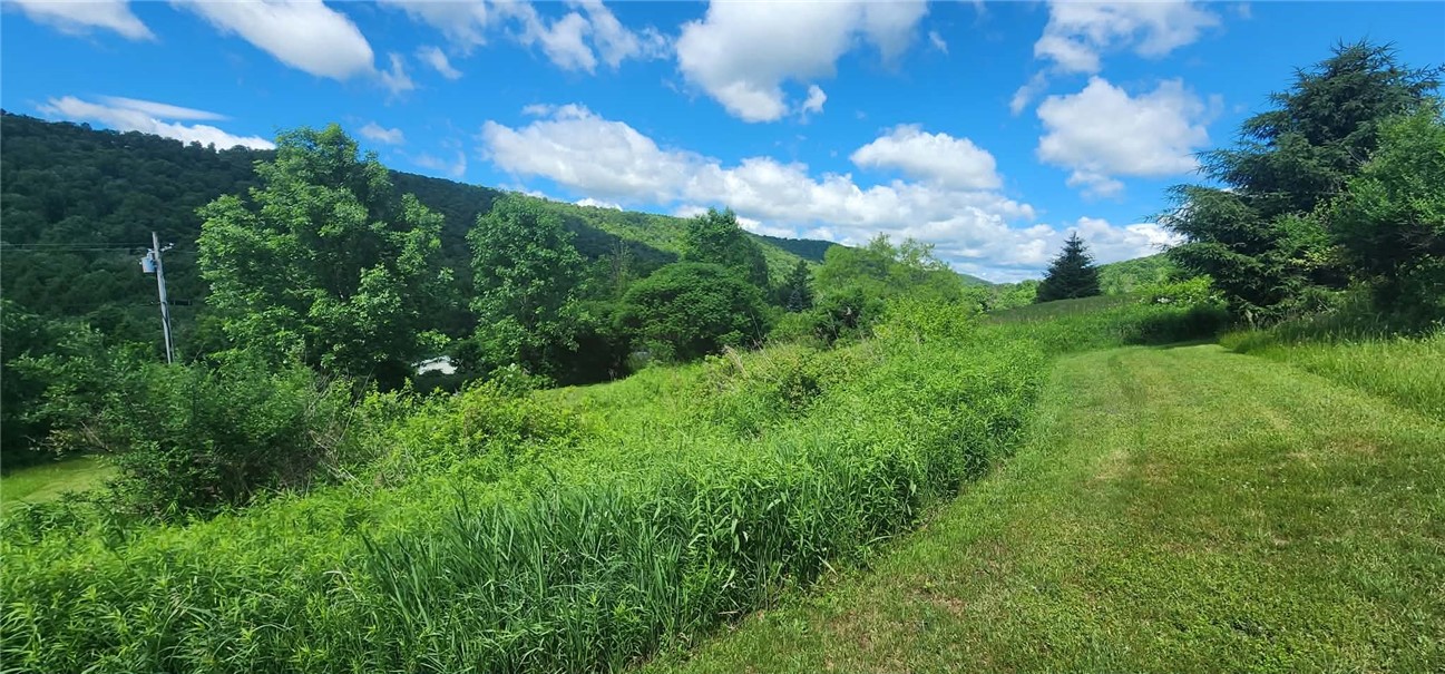 1052 County Highway Walton, NY 13856 - Photo 41 of 48