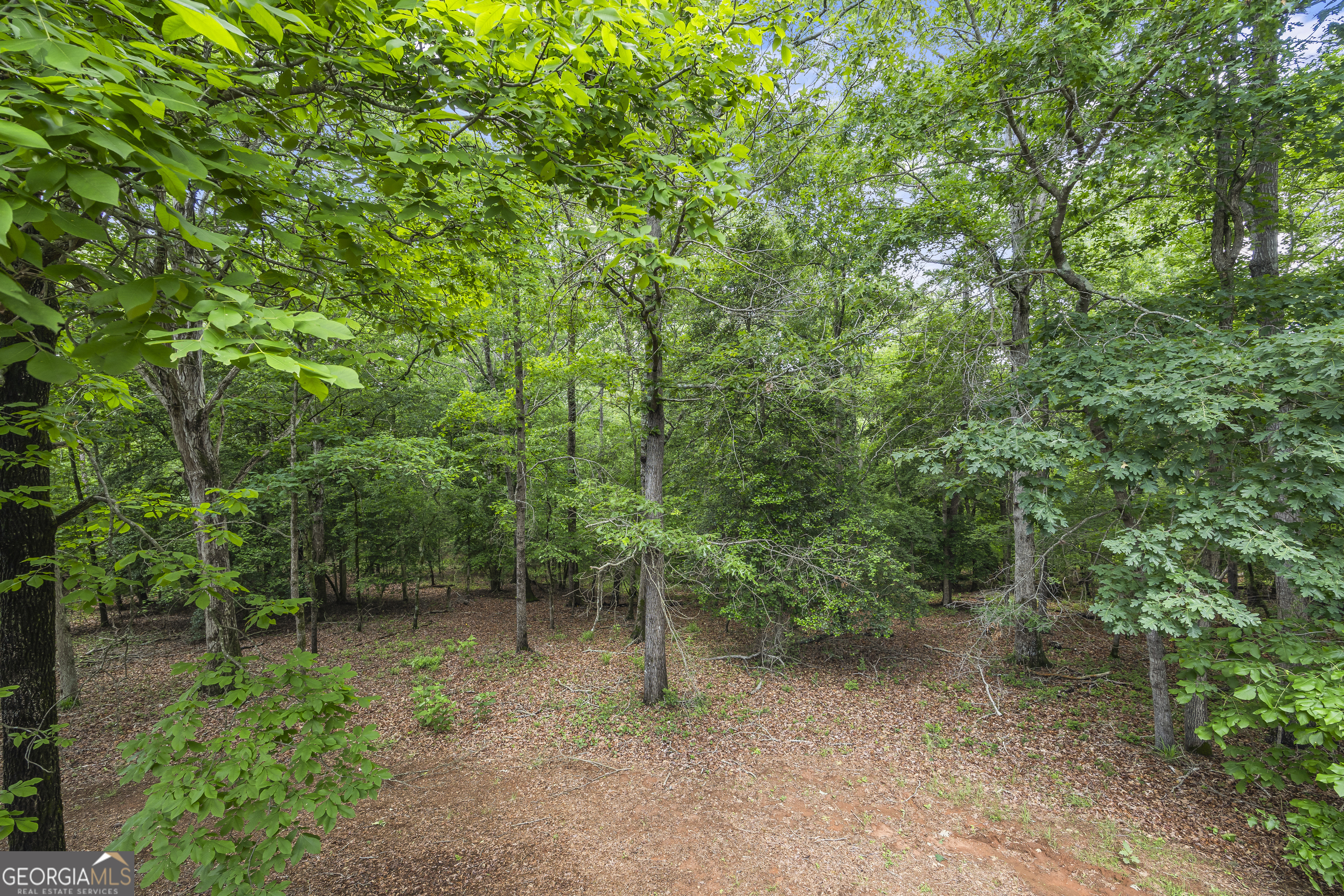 1112 Reno Road Royston, GA 30662 - Photo 71 of 74