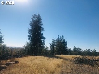Pine Forest Road, Unit 1 & 2 Goldendale, WA 98620 - Photo 1 of 12 Gallery Image 1