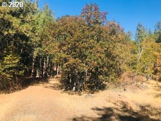 Pine Forest Road, Unit 1 & 2 Goldendale, WA 98620 - Photo 2 of 12 Gallery Image 2