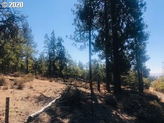 Pine Forest Road, Unit 1 & 2 Goldendale, WA 98620 - Photo 11 of 12 Gallery Image 11