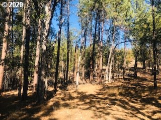 Pine Forest Road, Unit 1 & 2 Goldendale, WA 98620 - Photo 3 of 12 Gallery Image 3