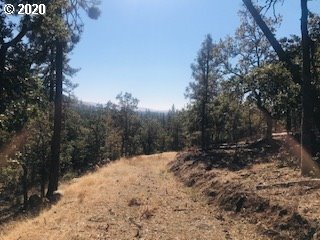 Pine Forest Road, Unit 1 & 2 Goldendale, WA 98620 - Photo 4 of 12 Gallery Image 4