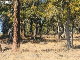 Pine Forest Road, Unit 1 & 2 Goldendale, WA 98620 - Photo 5 of 12 Gallery Image 5