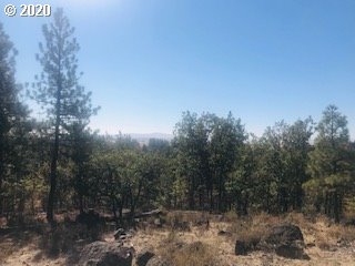 Pine Forest Road, Unit 1 & 2 Goldendale, WA 98620 - Photo 6 of 12 Gallery Image 6