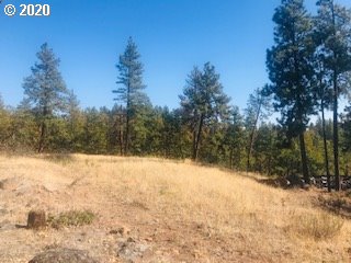 Pine Forest Road, Unit 1 & 2 Goldendale, WA 98620 - Photo 7 of 12 Gallery Image 7