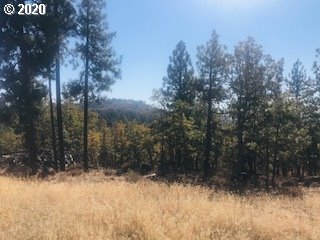 Pine Forest Road, Unit 1 & 2 Goldendale, WA 98620 - Photo 8 of 12 Gallery Image 8