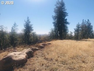 Pine Forest Road, Unit 1 & 2 Goldendale, WA 98620 - Photo 9 of 12 Gallery Image 9