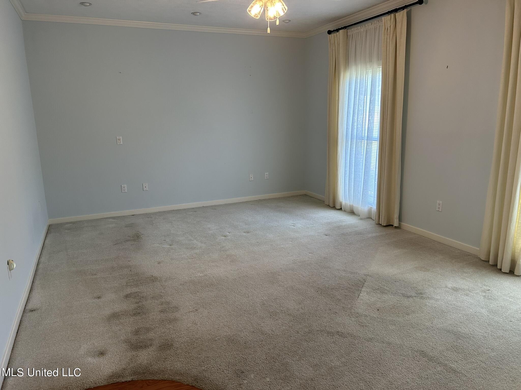 368 Red Eagle Circle Ridgeland, MS 39157 - Photo 10 of 22 IMG_2147(2)