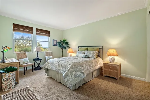 a view of a city with mountains in the background