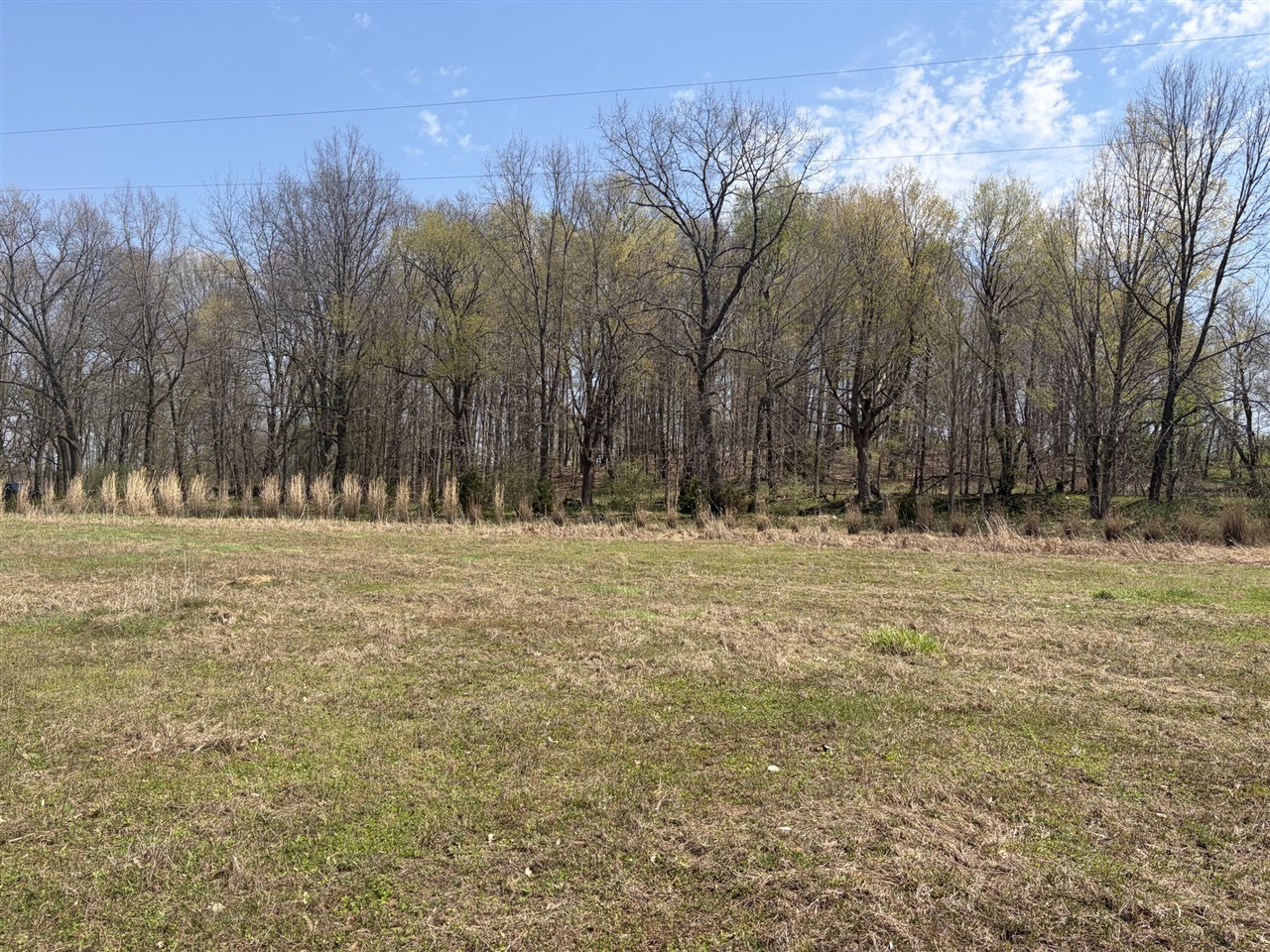 0 Wheeler Road Homer, MI 49245 - Photo 22 of 38 Gallery Image 22