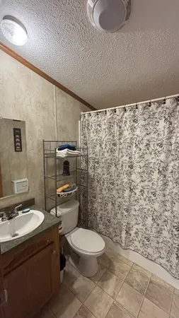 a bathroom with a toilet a sink and mirror