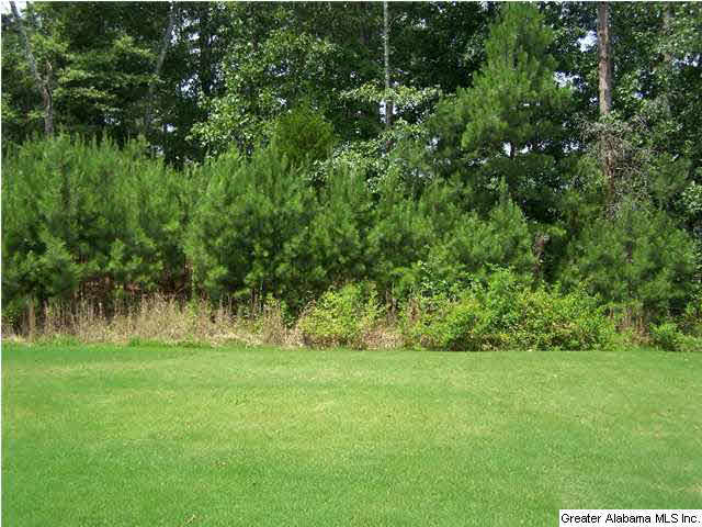 63 Jenkins Road Oxford, AL 36203 - Photo 29 of 31