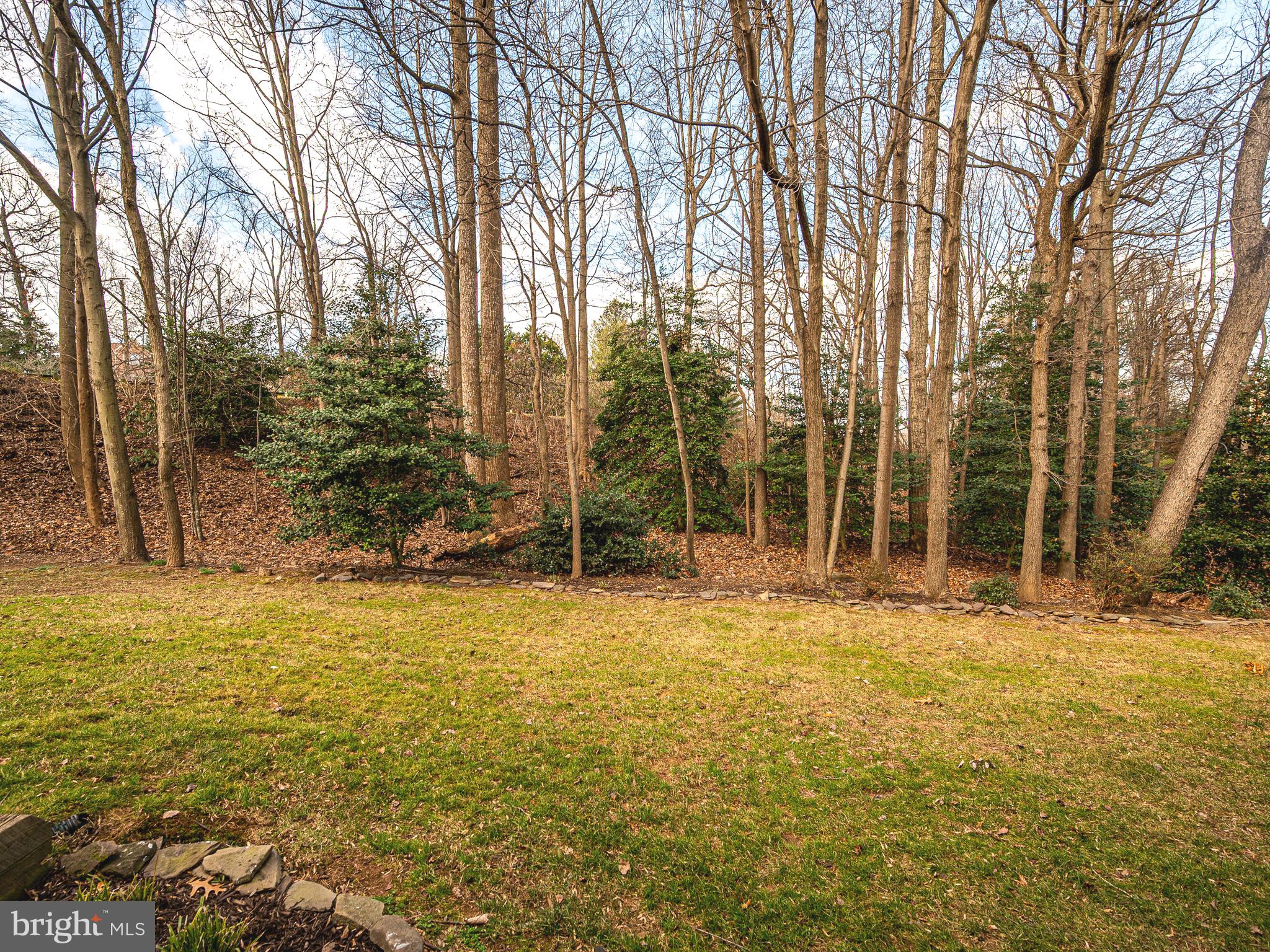 1270 Wedgewood Manor Way Reston, VA 20194 - Photo 60 of 61