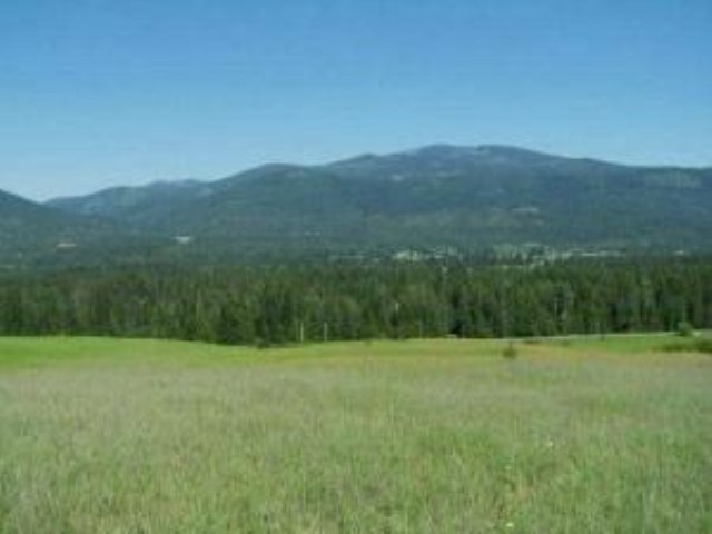 L-b Greenhouse Road Ione, WA 99139 - Photo 1 of 9