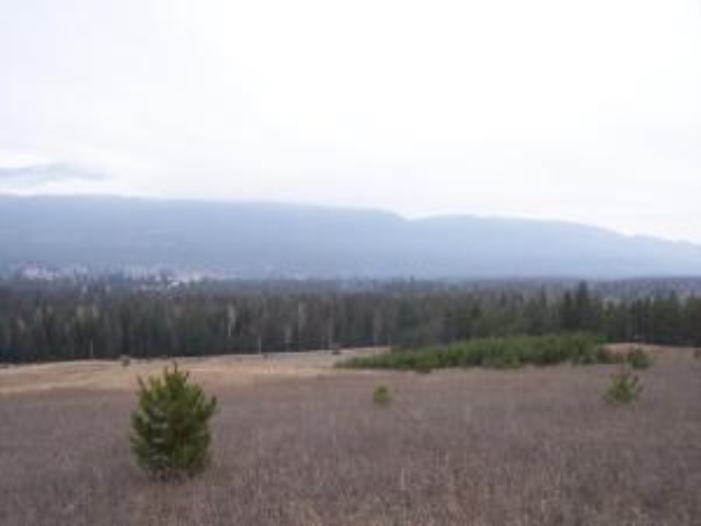 L-b Greenhouse Road Ione, WA 99139 - Photo 2 of 9