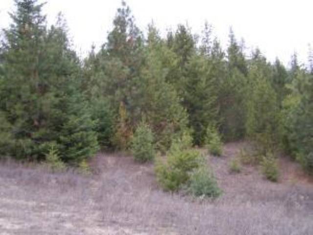 L-b Greenhouse Road Ione, WA 99139 - Photo 3 of 9