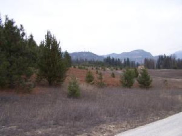 L-b Greenhouse Road Ione, WA 99139 - Photo 5 of 9