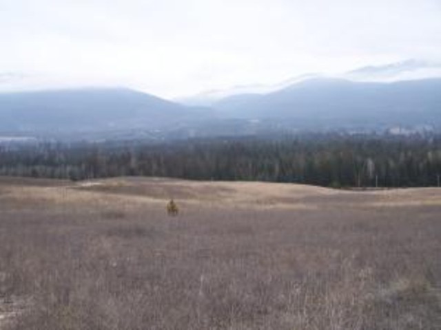 L-b Greenhouse Road Ione, WA 99139 - Photo 6 of 9