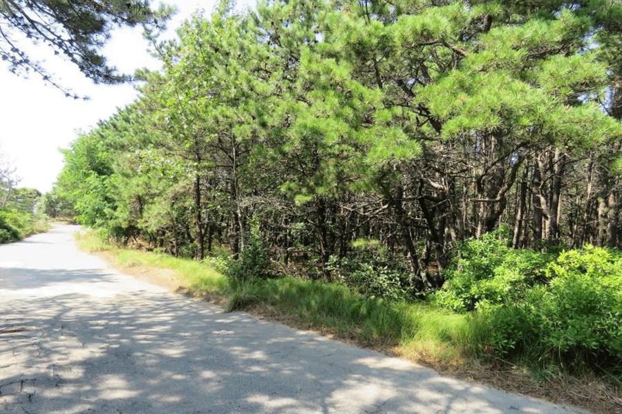 70 Billingsgate Road Wellfleet, MA 02631 - Photo 1 of 4 IMG_1539
