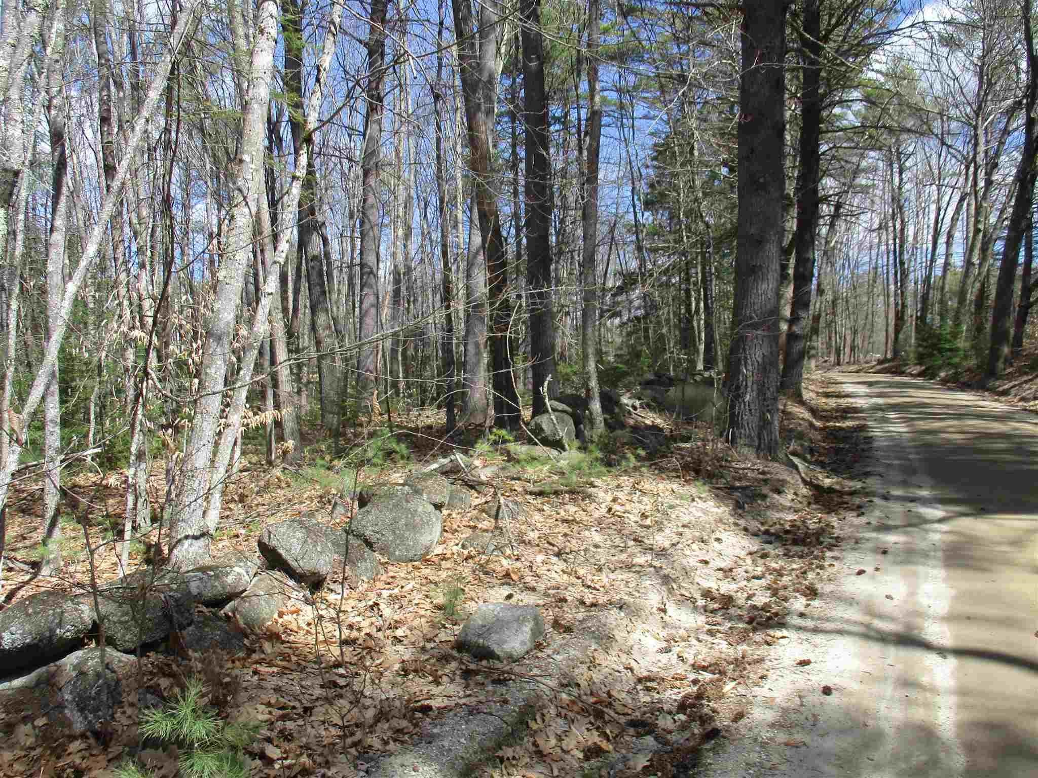 R6-23-4 R6-23-4 Slip Road Greenfield, NH 03047 - Photo 1 of 6 Gallery Image 1