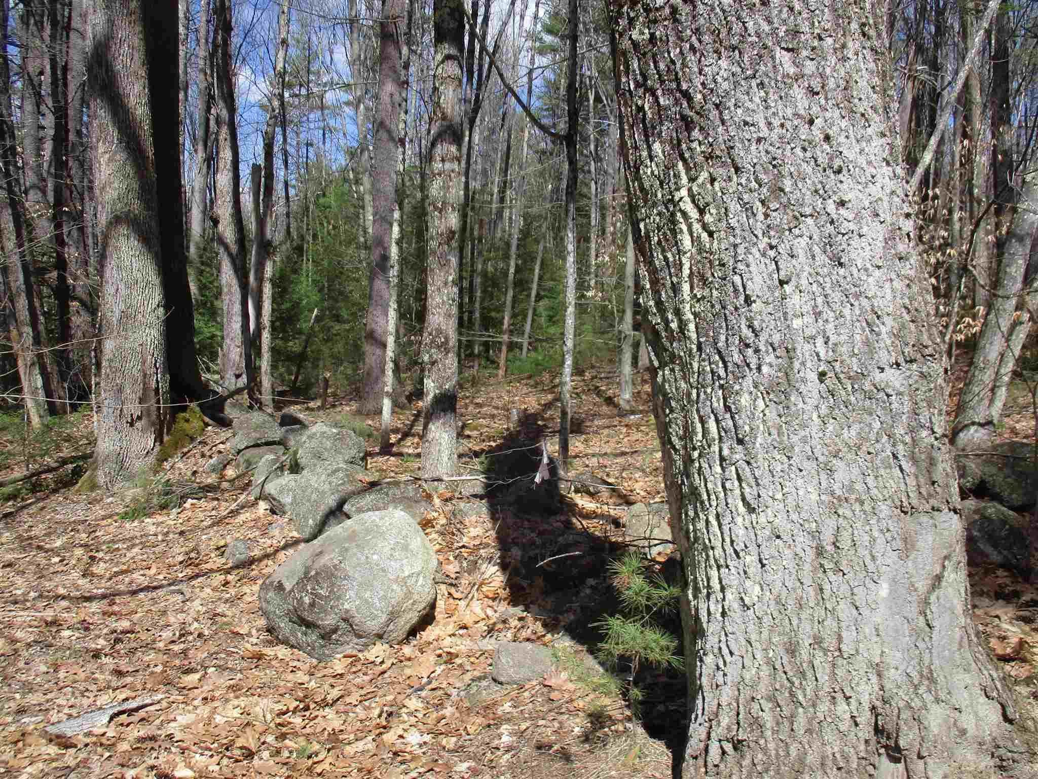 R6-23-4 R6-23-4 Slip Road Greenfield, NH 03047 - Photo 2 of 6 Gallery Image 2