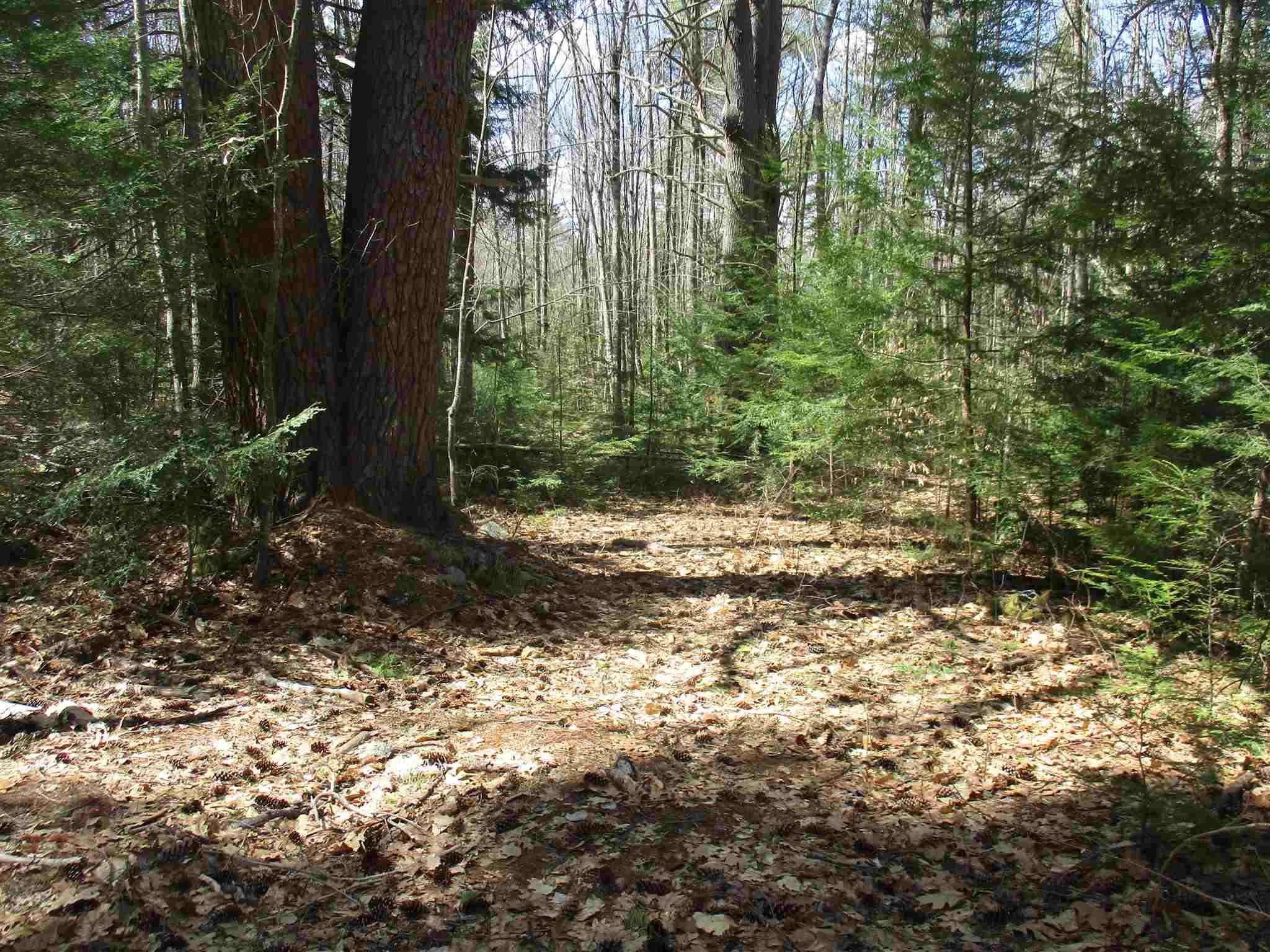 R6-23-4 R6-23-4 Slip Road Greenfield, NH 03047 - Photo 3 of 6 Gallery Image 3