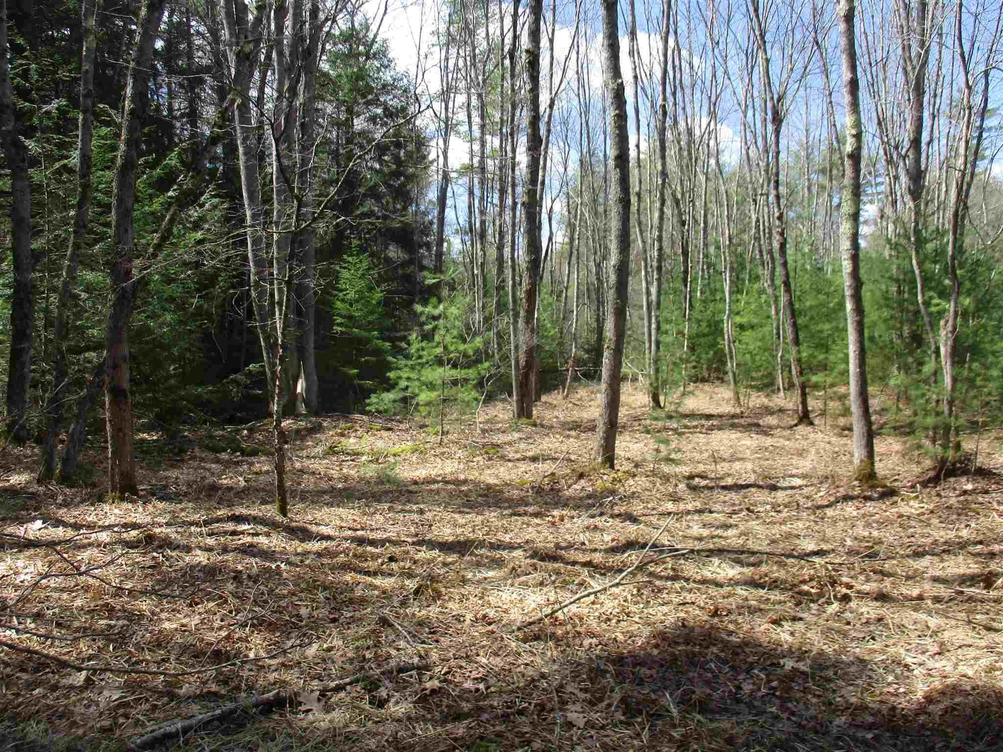 R6-23-4 R6-23-4 Slip Road Greenfield, NH 03047 - Photo 5 of 6 Gallery Image 5