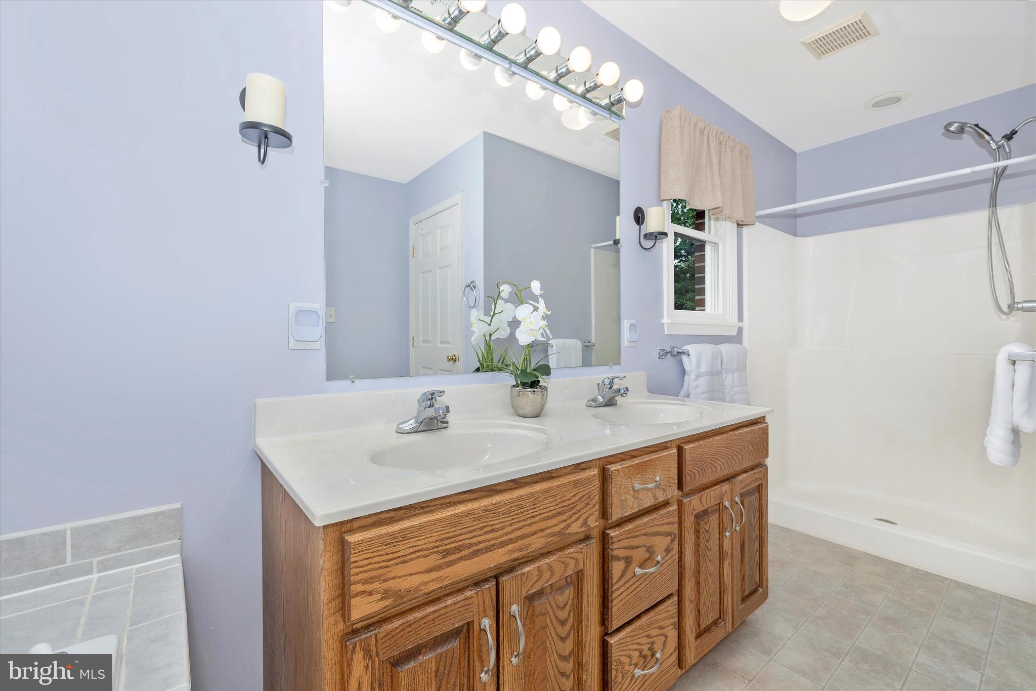 8241 Ball Road Frederick, MD 21704 - Photo 23 of 47 Primary Bathroom