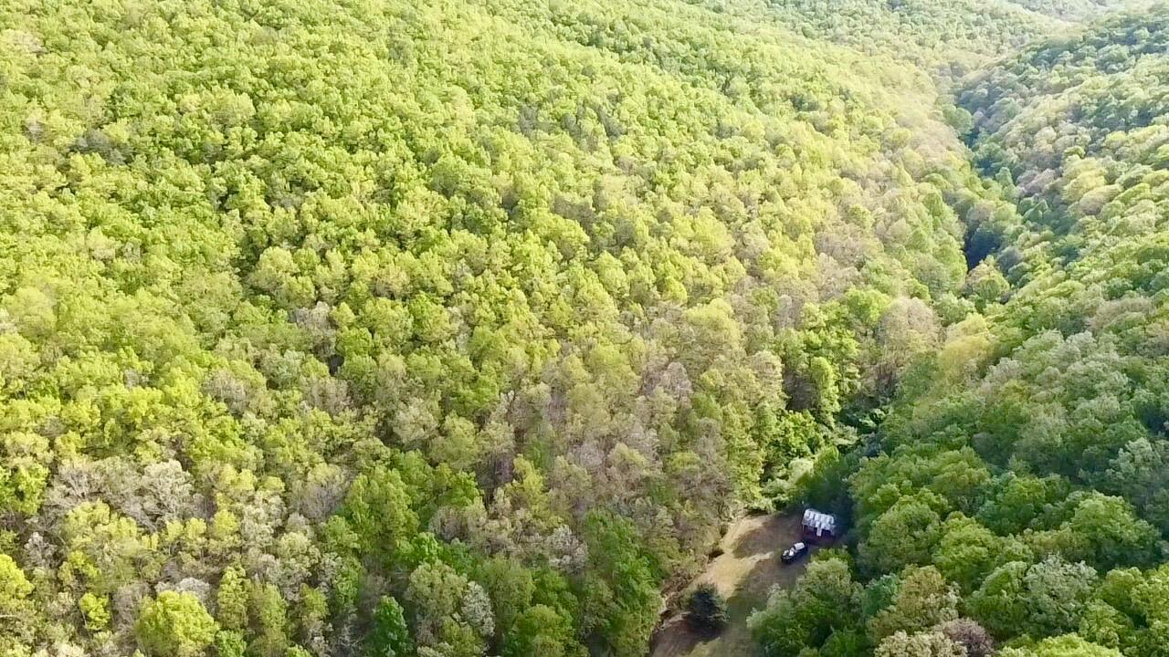345 Panther Run Road Lindside, WV 24951 - Photo 28 of 31 Gallery Image 28